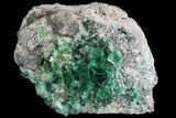 Fluorite Crystal Cluster - Rogerley Mine #99456-2